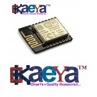 OkaeYa Esp8266-12E Wifi Module